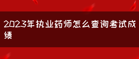 2023年执业药师怎么查询考试成绩